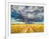 Mara Storm, 2012-Tilly Willis-Framed Giclee Print