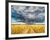 Mara Storm, 2012-Tilly Willis-Framed Giclee Print