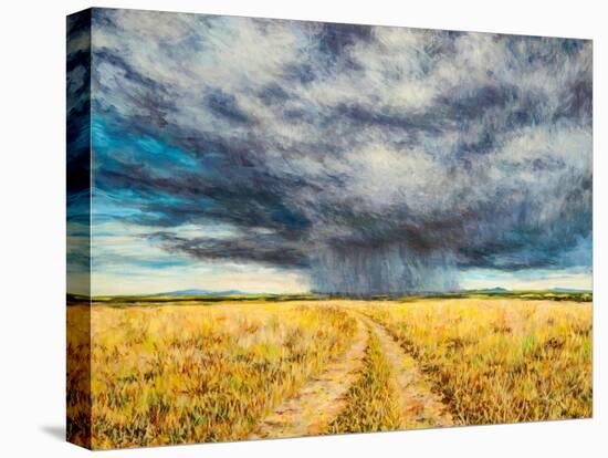 Mara Storm, 2012-Tilly Willis-Stretched Canvas