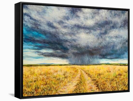 Mara Storm, 2012-Tilly Willis-Framed Stretched Canvas