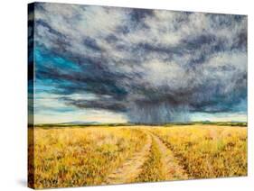 Mara Storm, 2012-Tilly Willis-Stretched Canvas