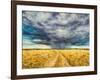 Mara Storm, 2012-Tilly Willis-Framed Premium Giclee Print