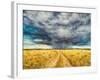 Mara Storm, 2012-Tilly Willis-Framed Giclee Print