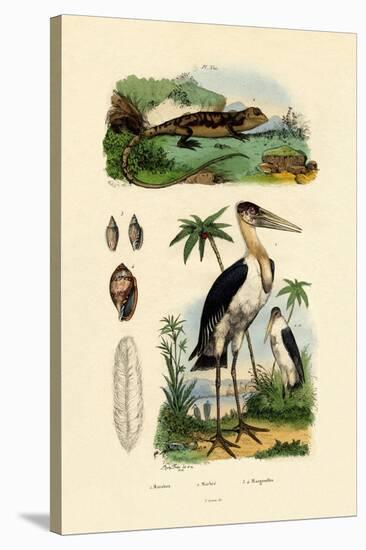 Marabou Stork, 1833-39-null-Stretched Canvas