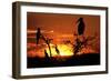 Marabou Stork at Sunset-Augusto Leandro Stanzani-Framed Photographic Print