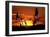 Marabou Stork at Sunset-Augusto Leandro Stanzani-Framed Photographic Print
