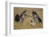 Marabou Storks, Ngorongoro Conservation Area, Tanzania-Paul Souders-Framed Photographic Print