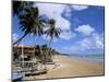 Maracajau, Natal, Rio Grande Do Norte State, Brazil, South America-Sergio Pitamitz-Mounted Photographic Print