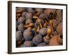 Maraccas at Arts Centre Market, Accra, Greater Accra, Ghana-Jane Sweeney-Framed Photographic Print