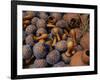 Maraccas at Arts Centre Market, Accra, Greater Accra, Ghana-Jane Sweeney-Framed Photographic Print