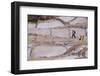 Maras Saltpan Salinas in the Sacred Valley of the Incas, near Cusco, Peru, South America-Julio Etchart-Framed Photographic Print