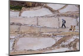 Maras Saltpan Salinas in the Sacred Valley of the Incas, near Cusco, Peru, South America-Julio Etchart-Mounted Photographic Print