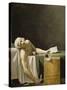 Marat assassiné-Jacques-Louis David-Stretched Canvas