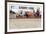 Marathon, Starting Line, Shallow Depth of Field-soupstock-Framed Photographic Print