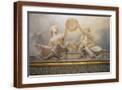 Brown Frame