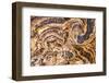 Marble Abstract, Titus Canyon, Death Valley-John Ford-Framed Photographic Print