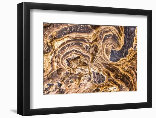 Marble Abstract, Titus Canyon, Death Valley-John Ford-Framed Photographic Print