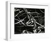 Marble Abstraction, Europe, 1971-Brett Weston-Framed Photographic Print