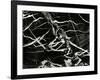 Marble Abstraction, Europe, 1971-Brett Weston-Framed Photographic Print