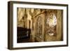 Marble and Wrought Iron Paneling-null-Framed Photographic Print