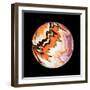 Marble Ball Watercolor Sphere-Swedish Marble-Framed Art Print