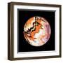 Marble Ball Watercolor Sphere-Swedish Marble-Framed Art Print