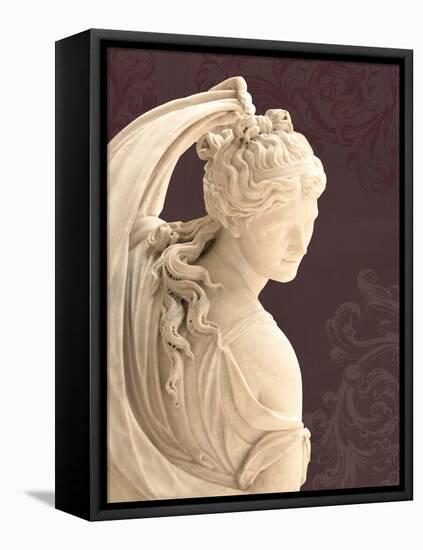 Marble Beauty-Cameron Duprais-Framed Stretched Canvas