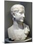 Marble Bust of Emperor Tiberius-null-Mounted Giclee Print