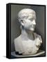 Marble Bust of Emperor Tiberius-null-Framed Stretched Canvas