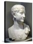 Marble Bust of Emperor Tiberius-null-Stretched Canvas
