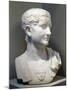 Marble Bust of Emperor Tiberius-null-Mounted Giclee Print