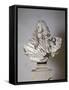 Marble Bust of Francesco I D'Este Duke of Modena-Gian Lorenzo Bernini-Framed Stretched Canvas