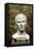 Marble Bust of Julius Caesar from the Rhone River-null-Framed Stretched Canvas