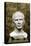 Marble Bust of Julius Caesar from the Rhone River-null-Stretched Canvas