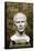 Marble Bust of Julius Caesar from the Rhone River-null-Framed Stretched Canvas