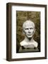 Marble Bust of Julius Caesar from the Rhone River-null-Framed Photographic Print