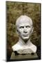 Marble Bust of Julius Caesar from the Rhone River-null-Mounted Photographic Print