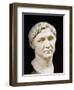 Marble Bust of Pompey-null-Framed Giclee Print