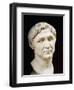 Marble Bust of Pompey-null-Framed Giclee Print