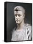 Marble Bust of Roman Emperor Gaius Julius Caesar Augustus Germanicus-null-Framed Stretched Canvas
