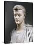 Marble Bust of Roman Emperor Gaius Julius Caesar Augustus Germanicus-null-Stretched Canvas