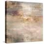 Marble Fog-Jodi Maas-Stretched Canvas