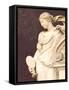 Marble Goddess-Cameron Duprais-Framed Stretched Canvas