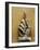 Marble Hand from Colossal Figure of Emperor Constantine the Great (306-337 CE)-null-Framed Giclee Print