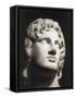Marble Head of Alexander the Great-null-Framed Stretched Canvas