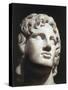 Marble Head of Alexander the Great-null-Stretched Canvas