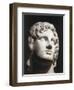 Marble Head of Alexander the Great-null-Framed Giclee Print