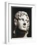 Marble Head of Alexander the Great-null-Framed Giclee Print