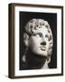 Marble Head of Alexander the Great-null-Framed Giclee Print