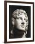 Marble Head of Alexander the Great-null-Framed Giclee Print